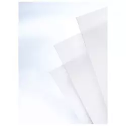 Folija za plastificiranje 125my 54x86mm sjajna pk100 Fellowes