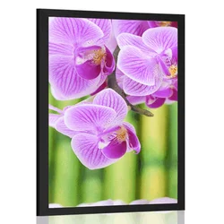 Plakat Zen vrt - 60x90 no frame