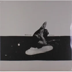 U.S. Girls - Introducing... (LP)