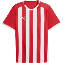 Puma Dres teamLIGA26 Striped