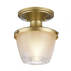 Quoizel QZ-DUBLIN-SF-PNBR - Kupatilsko svetlo DUBLIN 1xE27/40W/230V IP44 zlatne boje