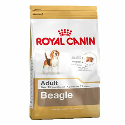 7,5kg /12kg Royal Canin Breed + božićna igračka besplatno! - Beagle Adult, 12 kg