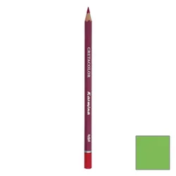 CRT barvica KARMINA moss green light