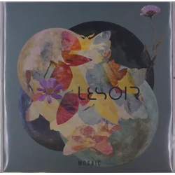 Lesoir - Mosaic (LP)