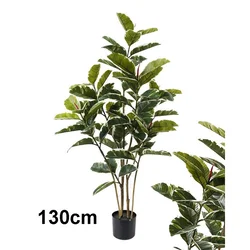 Lilium stablo fikus variegata 130 cm, 1x6 567343