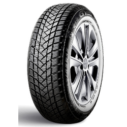 GT Radial Champiro Winterpro 2 ( 215/55 R16 93H )