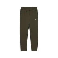 Puma EVOSTRIPE PANTS DK, muške hlače, zelena 688234