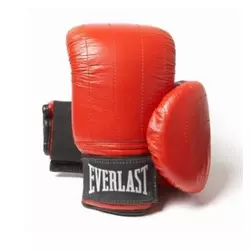 EVERLAST rukavice za boks (boston), 1802