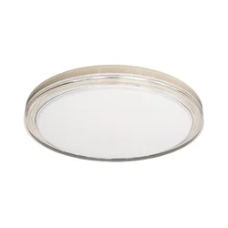 LED plafonsko svetlo LAGO LED/36W/230V, prečnika 48 cm