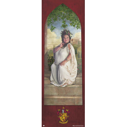 Harry Potter PLAKAT PUERTA HARRY POTTER GRYFFINDOR GESLO, (20837212)