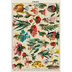 Grafika - Puzzle Ribe - 1 000 kosov