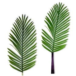 shumee Veliki listi - Datljeva palma 81 cm