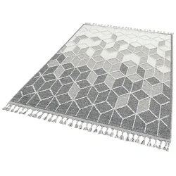 Conceptum Hypnose Tepih 80x300cm Sivi