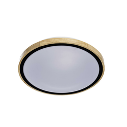 LED PLAFONJERA