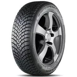Falken WINTERPEAK F-SNOW 1 ( 215/60 R17 100T XL, Nordic compound DOT2022 )