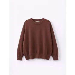 MixRay Pulover Pullover rjava