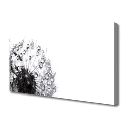 tulup.si Slika na platnu Dandelion rastlin 125x50 cm