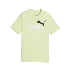 PUMA Essentials Colour No.1 Logo Tee Youth, Age, Apple Spritz, 13-14Y