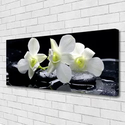tulup.si Slika na platnu Bela orhideja cvet 140x70 cm