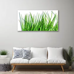 tulup.si Slika na platnu Grass on wall 100x50 cm