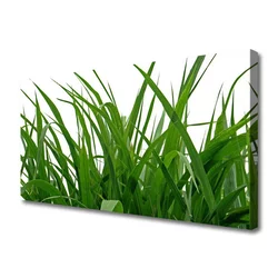 tulup.si Slika na platnu Grass nature rastlin 100x50 cm