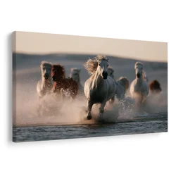 Slika beli konji v morskih valovih - 40x30