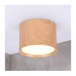 BRILAGI - Kupatilsko spot svetlo SMOOTH 1xGX53/15W/230V 60x82 mm u dekoru hrasta IP54