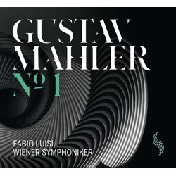Gustav Mahler Symphony Nr. 1 (2 LP)