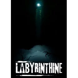 Labyrinthine (PC) Steam Key EUROPE