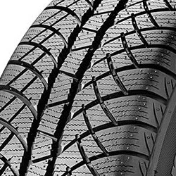 SUNNY zimska guma WINTERMAX NW611 ( 205/65 R15 99T XL )