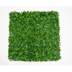 Zeleni zid 3D Tara 2, 100x100 cm