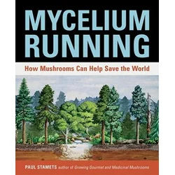 Mycelium Running