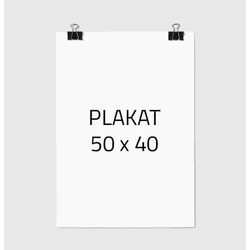 shumee PLAKAT ZA SLIKE 40x50 cm BREZ OKVIRJA P000
