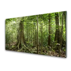 tulup.si Slika na akrilnem steklu Narava jungle forest trees 100x50 cm 2 obešalnika