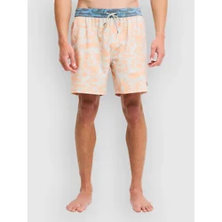 Billabong Ty Williams kopalne hlače multi