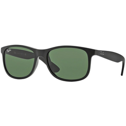 RAY-BAN sunčane naočale RB4202 - 606971