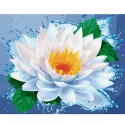 Slika po brojevima Beli lokvanj, 30x40 cm