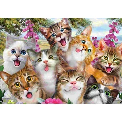 Katzen-Selfie (Puzzle)