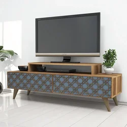 Hanah Home TV komoda City