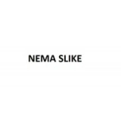 Šišmiš