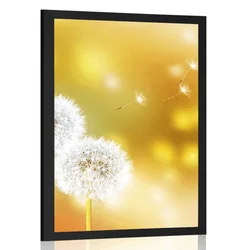 Plakat regratova lučka - 40x60 silver