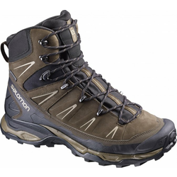 Salomon X Ultra Trek Gtx Brown/Black/Navajo 42.7