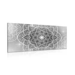 Slika orientalska Mandala v črnobeli izvedbi - 100x50
