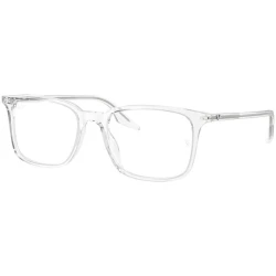Ray-Ban Naočare RX 5421 2001