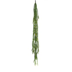 Umetna plezalka Epifil 120 cm - 101 do 150 cm