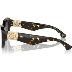 Burberry Naočare za sunce BE 4423 410687