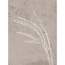 Venture Design Poster Seeds 30x40 cm Bež