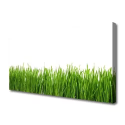 tulup.si Slika na platnu Grass nature rastlin 125x50 cm