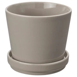 KLOTLÖNN Saksija s tacnom, unutra/spolja/siva/bež, 12 cm