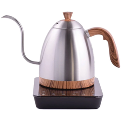 Brewista Artisan silver